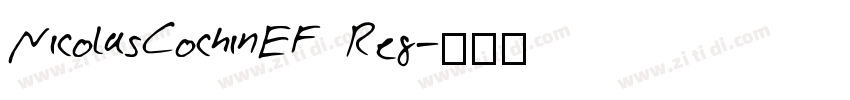 NicolasCochinEF Reg字体转换